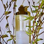 عطر ادکلن ایمج وومن سرروتی - Image Woman Cerruti - بررسی، قیمت و خرید