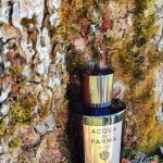 عطر ادکلن کولونیا ساندالو کنسانتره آکوا دی پارما - Colonia Sandalo Concentrée Acqua di Parma - بررسی، قیمت و خرید