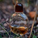 عطر ادکلن آب‌سشن فور من کلوین کلاین - Obsession for Men Calvin Klein - بررسی، قیمت و خرید