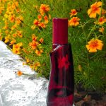 عطر ادکلن پشن دنس ایوون - Passion Dance Avon - بررسی، قیمت و خرید