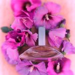 عطر ادکلن یوفوریا او دو تویلت کالوین کلاین - Euphoria Eau de Toilette Calvin Klein - بررسی، قیمت و خرید