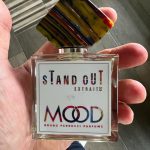 عطر ادکلن اِستند آوت برو نو پروچی پارفومز - Stand Out Bruno Perrucci Parfums - بررسی، قیمت و خرید