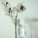 عطر ادکلن آیریس کلوئه - Iris Chloé - بررسی، قیمت و خرید