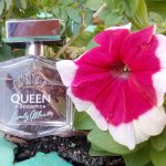 عطر ادکلن کوئین آو سداکشن لیولی میوز آنتونیو باندراس - Queen of Seduction Lively Muse Antonio Banderas - بررسی، قیمت و خرید