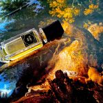 عطر ادکلن سیکرت عود کارون - Secret Oud Caron - بررسی، قیمت و خرید