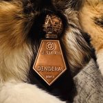 عطر ادکلن دنِدِرا سنتوری پرفیومز - Dendera Centauri Perfumes - بررسی، قیمت و خرید