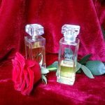 عطر ادکلن سالومه کارلا فراچی - Salome' Carla Fracci - بررسی، قیمت و خرید