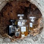 عطر ادکلن چنل نامبر نوزده او دو پرفیوم شانل - Chanel No 19 Eau de Parfum Chanel - بررسی، قیمت و خرید