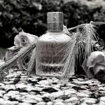 عطر ادکلن بُتِگا وِنِتا اِسِنس آروما‌تیک بوتگا ونتا - Bottega Veneta Essence Aromatique Bottega Veneta - بررسی، قیمت و خرید