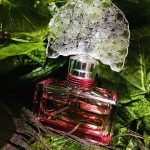 عطر ادکلن فلایت آو فَنسی آنا سوی - Flight Of Fancy Anna Sui - بررسی، قیمت و خرید