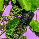 عطر ادکلن کوباکو سنسوئل بورژوا - Kobako Sensuelle Bourjois - بررسی، قیمت و خرید