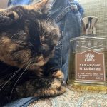 عطر ادکلن تابروم کرید - Tabarome Creed - بررسی، قیمت و خرید