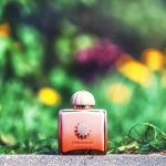 عطر ادکلن گایدنس فورتی سیکس آمواج - Guidance 46 Amouage - بررسی، قیمت و خرید