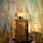 عطر ادکلن کورال پنتر کورال پرفیومز - Coral Panther Coral Perfumes - بررسی، قیمت و خرید