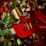 عطر ادکلن سی اچ کارولینا هررا - CH (2015) Carolina Herrera - بررسی، قیمت و خرید