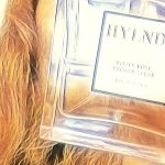 عطر ادکلن بیتِر رُز، بروکِن اِسپیر دی‌اس اند درگا - Bitter Rose, Broken Spear DS&Durga - بررسی، قیمت و خرید