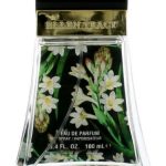 عطر ادکلن کانفیدنت اِلِن تریسی - Confident Ellen Tracy - بررسی، قیمت و خرید