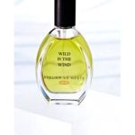 عطر ادکلن وایلد ایز د ویند آتلیر دو ژست - Wild is the Wind Atelier de Geste - بررسی، قیمت و خرید