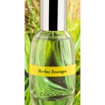 عطر ادکلن هربس ساواژ کندورا - Herbes Sauvage Candora - بررسی، قیمت و خرید