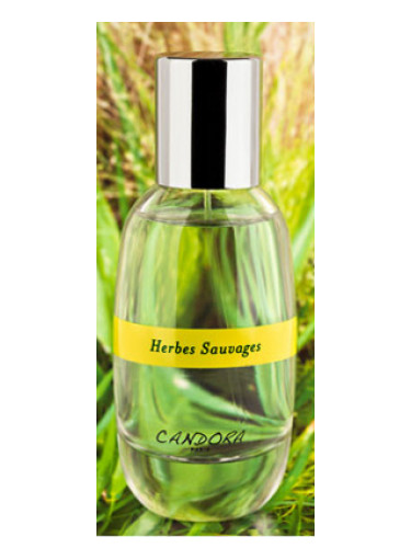 عطر ادکلن هربس ساواژ کندورا - Herbes Sauvage Candora - بررسی، قیمت و خرید