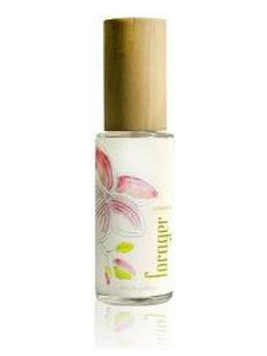 عطر ادکلن آیلند لی فورجر بوتانیکلز - Island Lei Forager Botanicals - بررسی، قیمت و خرید