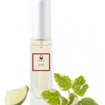 عطر ادکلن اینوینسیبل اف ال پرفیوم - Invincible FL Parfums - بررسی، قیمت و خرید