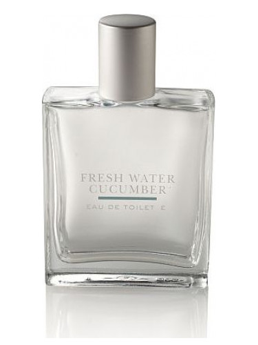 عطر ادکلن فرش‌واتر کیوکامبر بث اند بادی ورکس - Freshwater Cucumber Bath & Body Works - بررسی، قیمت و خرید