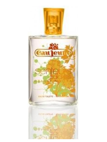 عطر ادکلن اورنج ریویرا اوژن - Orange Riviera Eau Jeune - بررسی، قیمت و خرید