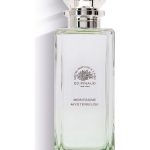عطر ادکلن مونتاین میستریوس اد پیناود - Montagne Mystérieuse Ed Pinaud - بررسی، قیمت و خرید