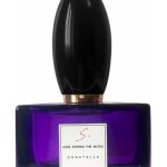 عطر ادکلن دوناتلا ایس استرایکز د نوتس - Donatella Esse Strikes The Notes - بررسی، قیمت و خرید