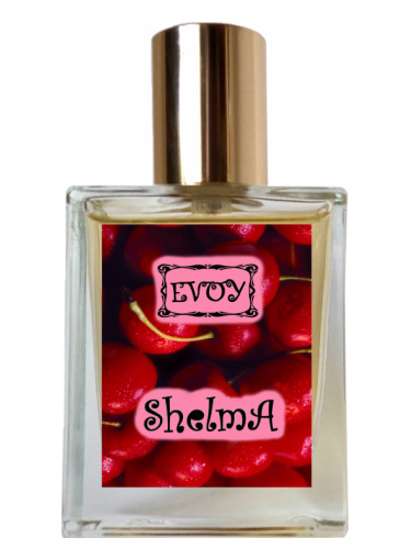 عطر ادکلن شِلما ایوی - SHELMA EVOY - بررسی، قیمت و خرید