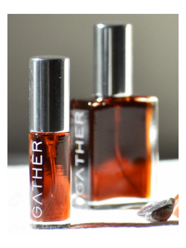 عطر ادکلن آمبرین گدر پرفیوم - Ambreine Gather Perfume - بررسی، قیمت و خرید