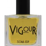 عطر ادکلن ویگر کریمینال المنتس - Vigour Criminal Elements - بررسی، قیمت و خرید