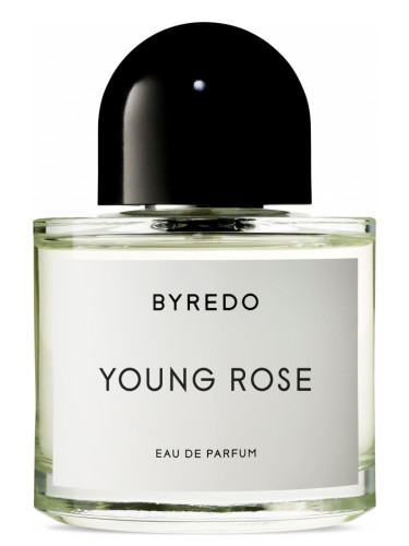 عطر ادکلن یانگ رز بایردو - Young Rose Byredo - بررسی، قیمت و خرید