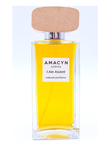 عطر ادکلن آی ام اسنت اماژین - I Am Ascent Amacyn - بررسی، قیمت و خرید