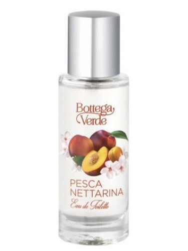 عطر ادکلن پسکا نکتارینا بوتگا ورده - Pesca Nettarina Bottega Verde - بررسی، قیمت و خرید