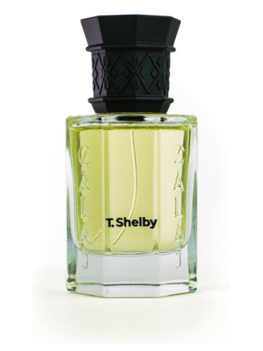 عطر ادکلن تی شلبی کالاج - T. Shelby Calaj - بررسی، قیمت و خرید