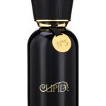 عطر ادکلن کیوپید نامبر فایو پارفوم کیوپید پرفیومز - Cupid No.5 Parfum Cupid Perfumes - بررسی، قیمت و خرید