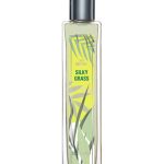 عطر ادکلن سیلکی گرس بروکارد - Silky Grass Brocard - بررسی، قیمت و خرید