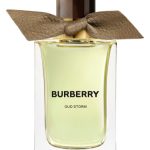 عطر ادکلن اود استورم بربری - Oud Storm Burberry - بررسی، قیمت و خرید
