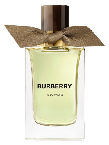 عطر ادکلن اود استورم بربری - Oud Storm Burberry - بررسی، قیمت و خرید