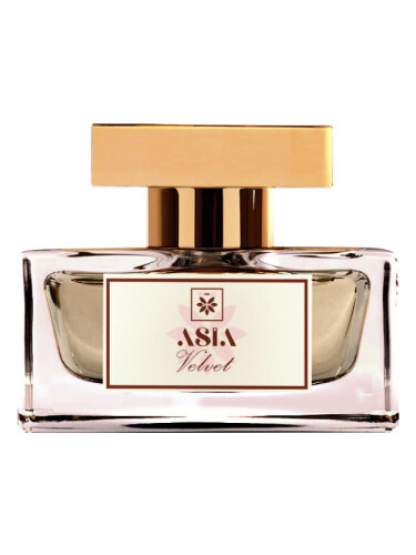 عطر ادکلن ولوت ایژیا پرفیومز - Velvet Asia Perfumes - بررسی، قیمت و خرید