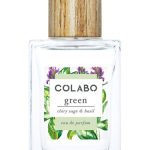 عطر ادکلن گرین کلری سیج اند بَیسِل کولابو - Green Clary Sage & Basil COLABO - بررسی، قیمت و خرید