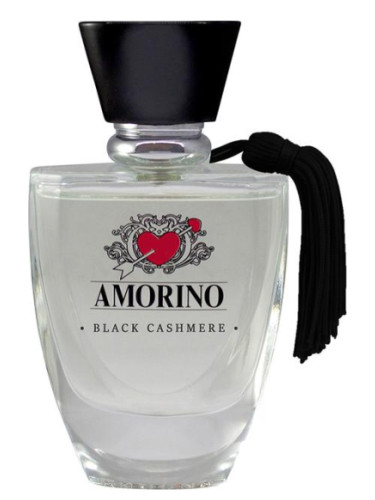 عطر ادکلن بِلَک کَشمیِر آمورینو - Black Cashmere AMORINO - بررسی، قیمت و خرید