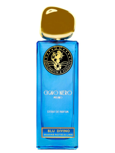 عطر ادکلن بلو دیوینو چینو نرو - Blu Divino Cigno Nero - بررسی، قیمت و خرید