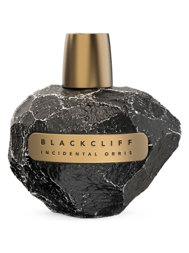 عطر ادکلن اینسی‌دنتال اوریس بلک کلیف پرفیومز - Incidental Orris Blackcliff Parfums - بررسی، قیمت و خرید