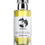 عطر ادکلن نیاندا کویوتل - Nayanda Coyotl - بررسی، قیمت و خرید