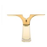 عطر ادکلن گارديين انجل کایلیسته پارفوم - Guardian Angel Caeleste Parfums - بررسی، قیمت و خرید