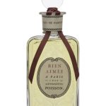 عطر ادکلن بین امه آنتوانت پواَسون - Bien Aimée Antoinette Poisson - بررسی، قیمت و خرید