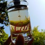 عطر ادکلن اودو کارتیر زِس دو سُلیل کارتیر - Eau de Cartier Zeste de Soleil Cartier - بررسی، قیمت و خرید
